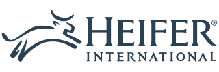 Heifer
